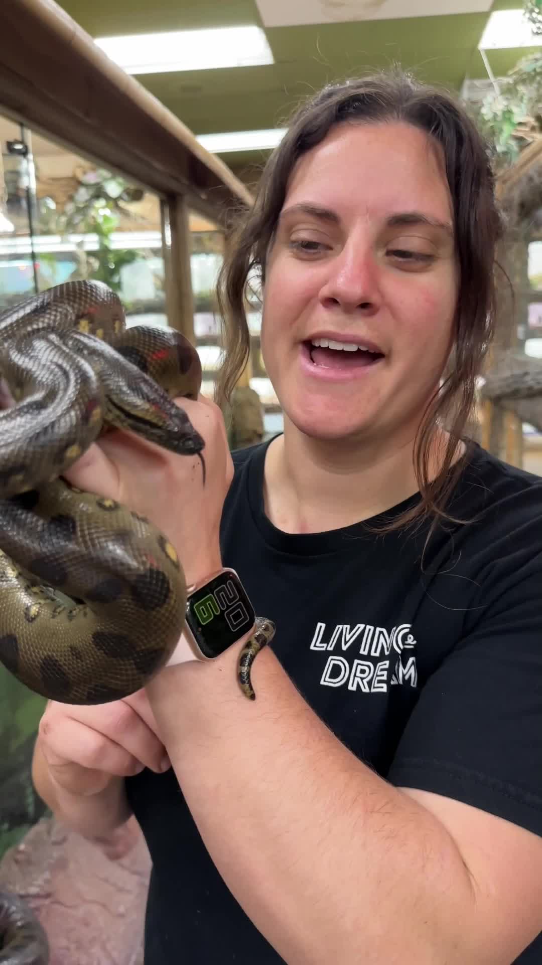 @The Reptile Zoo