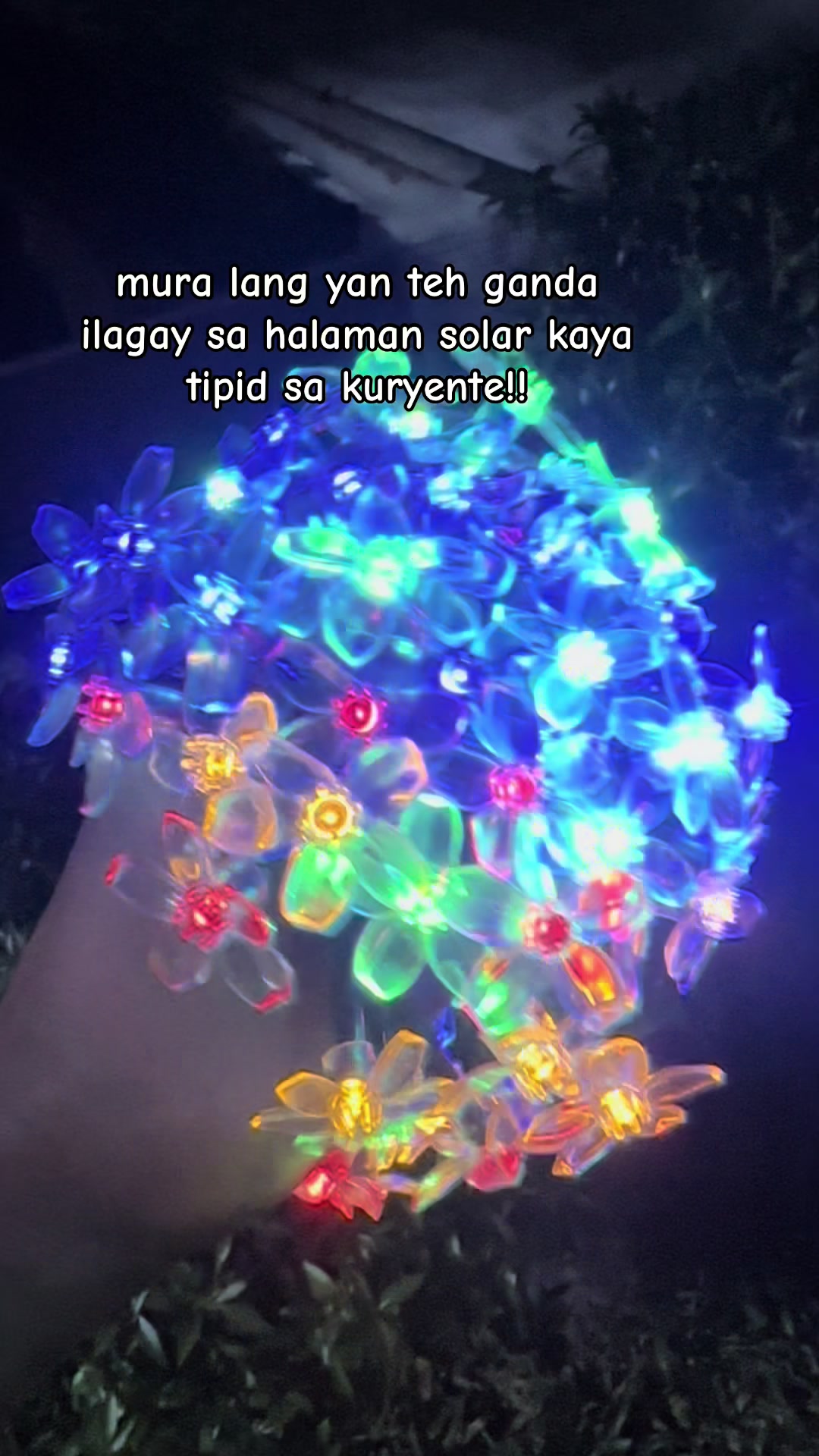 @Choy Ph