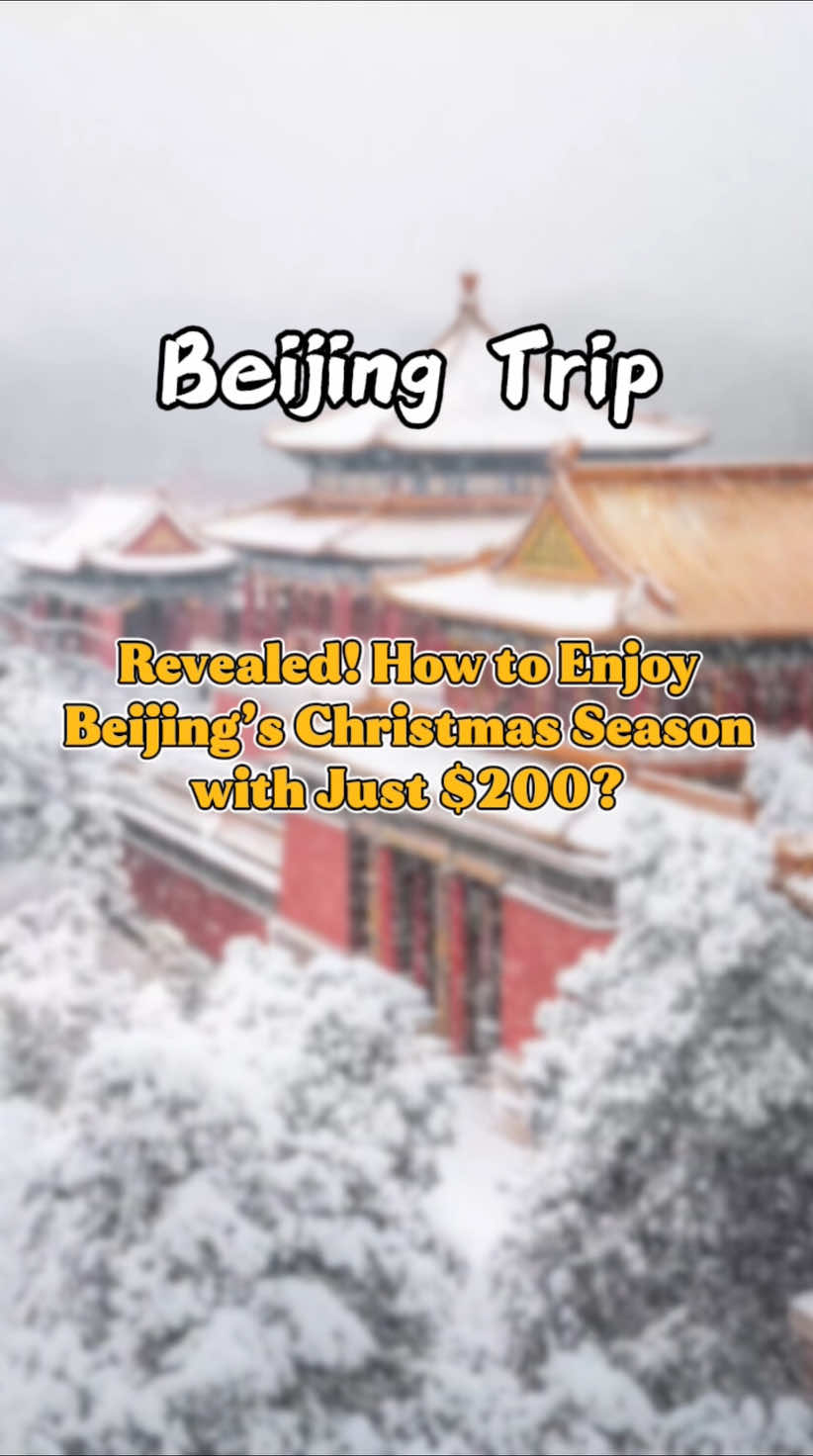 @金马国旅