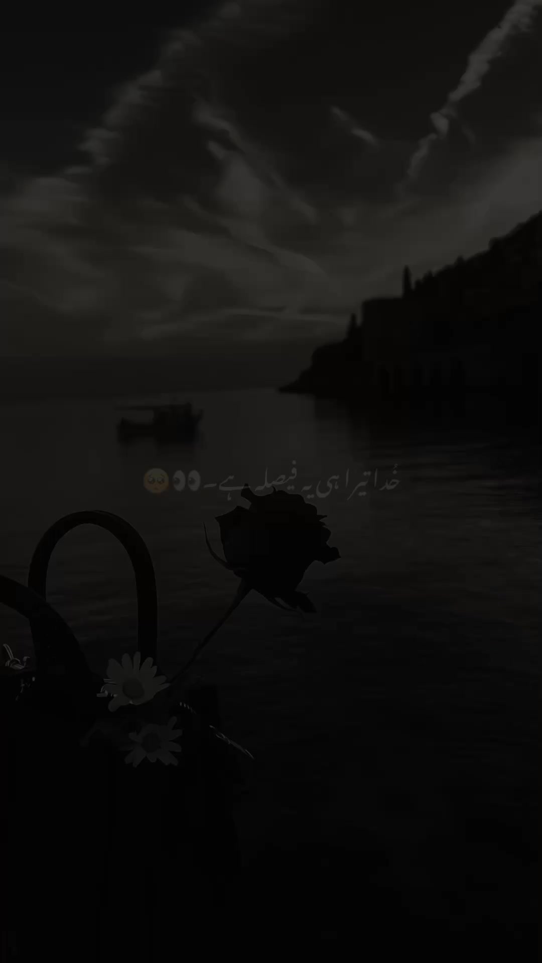 @SHEHZADA 🫀🥰