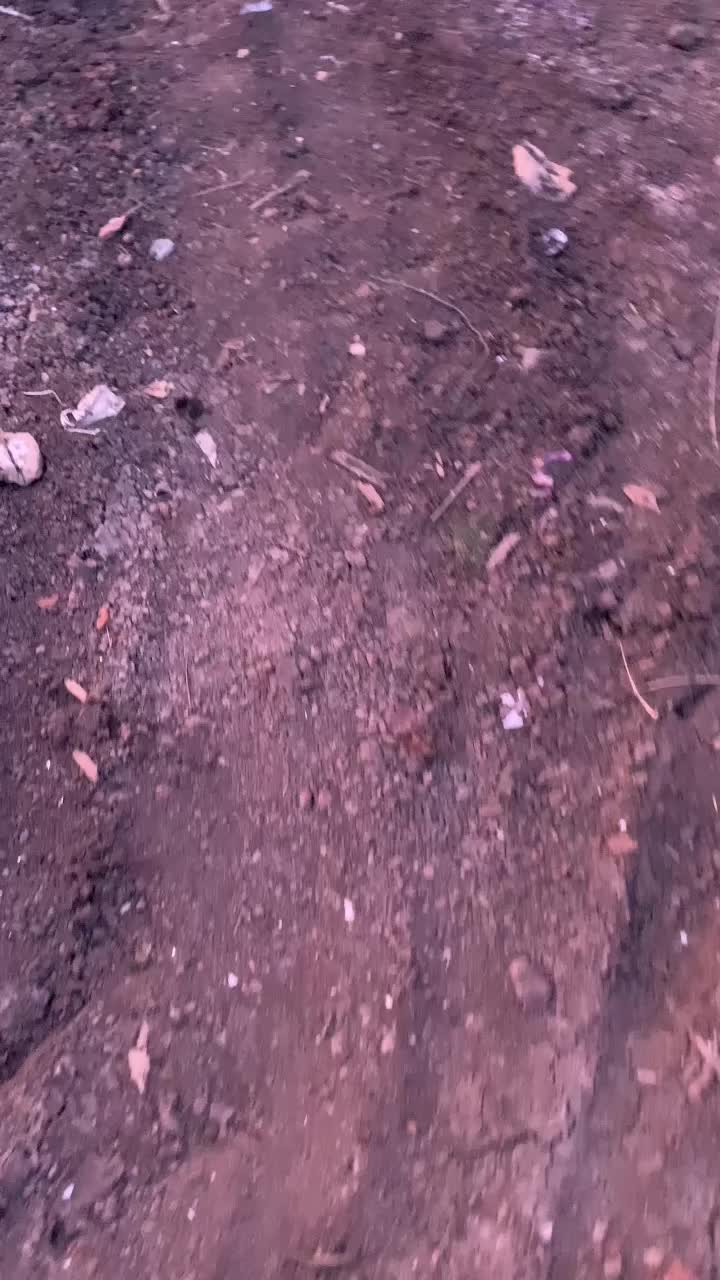 @DuaLimaNovember