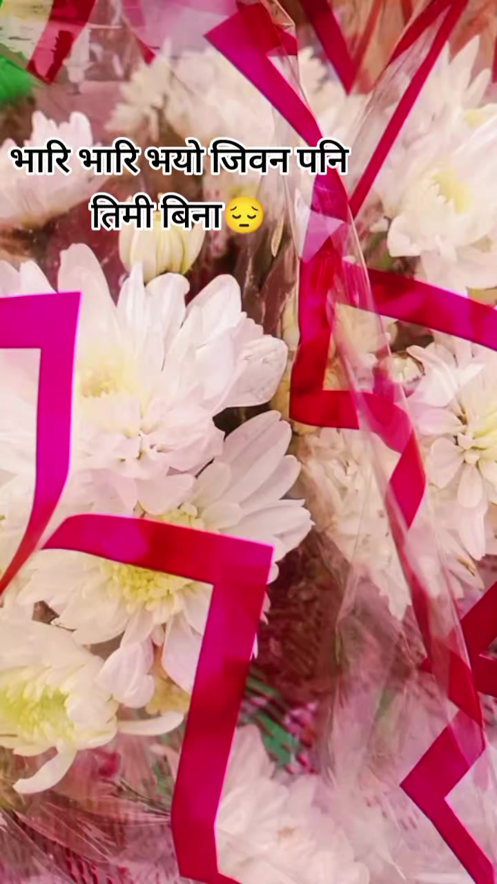 @प्र🌷🌿