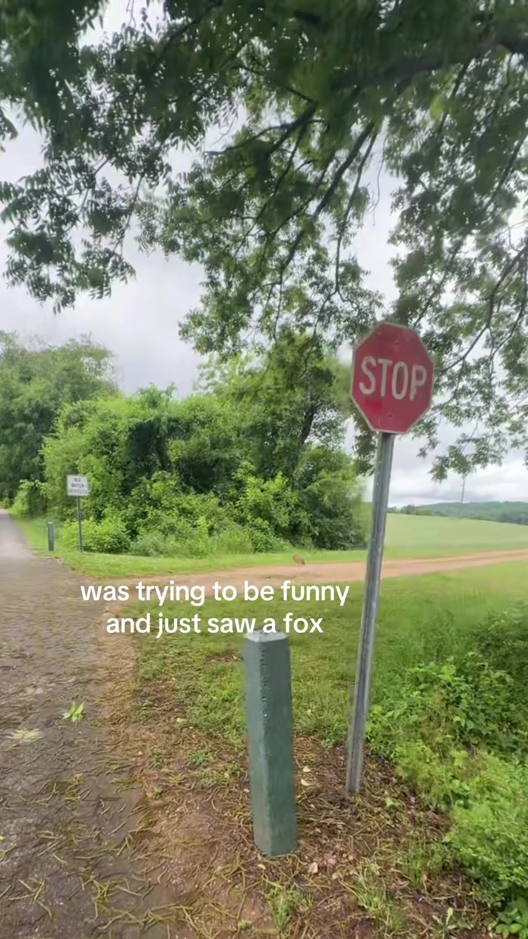 @SK