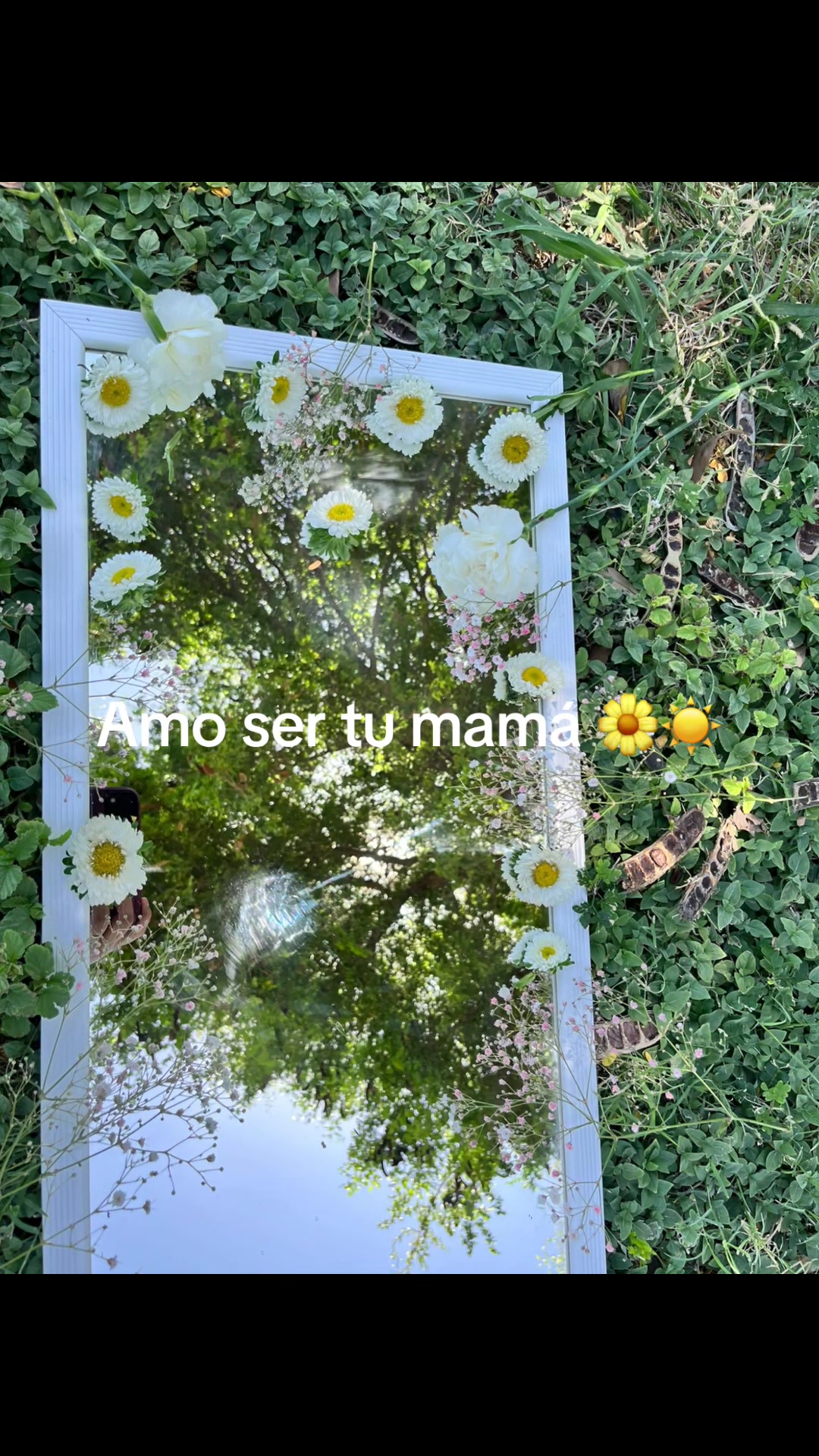 @Yocselin Rdz 🌸