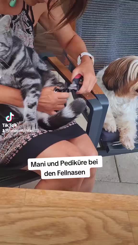 @12Pfoten&die Fellnasenmanager