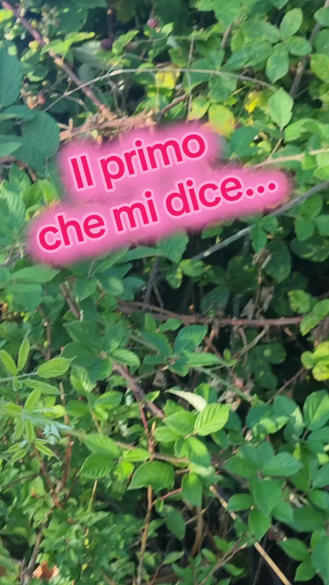 @Il leone e la gallina