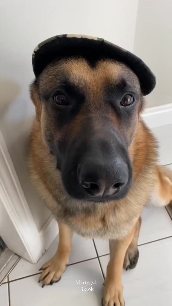 @Martygsd