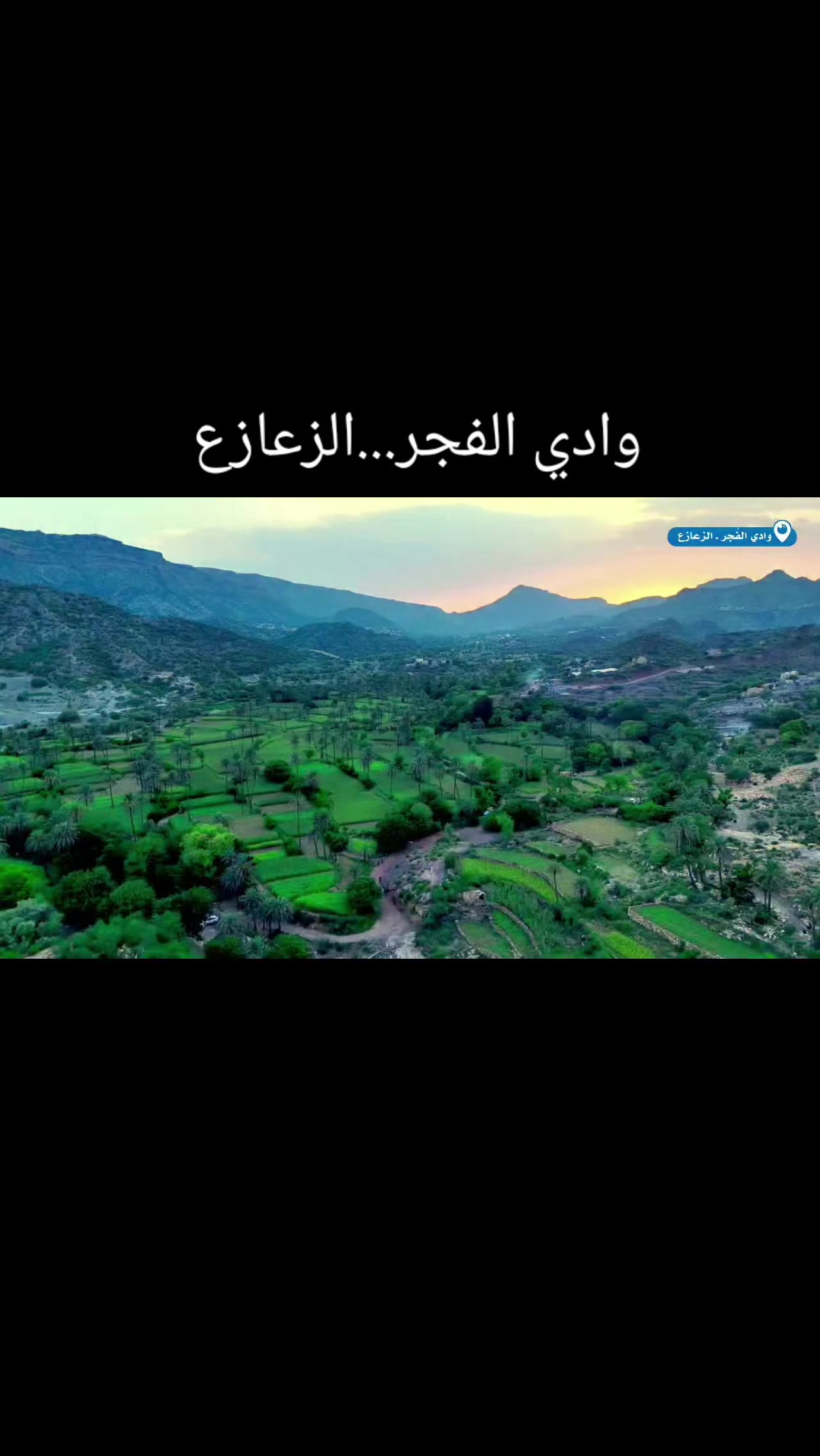 @سعيد نظير العزعزي