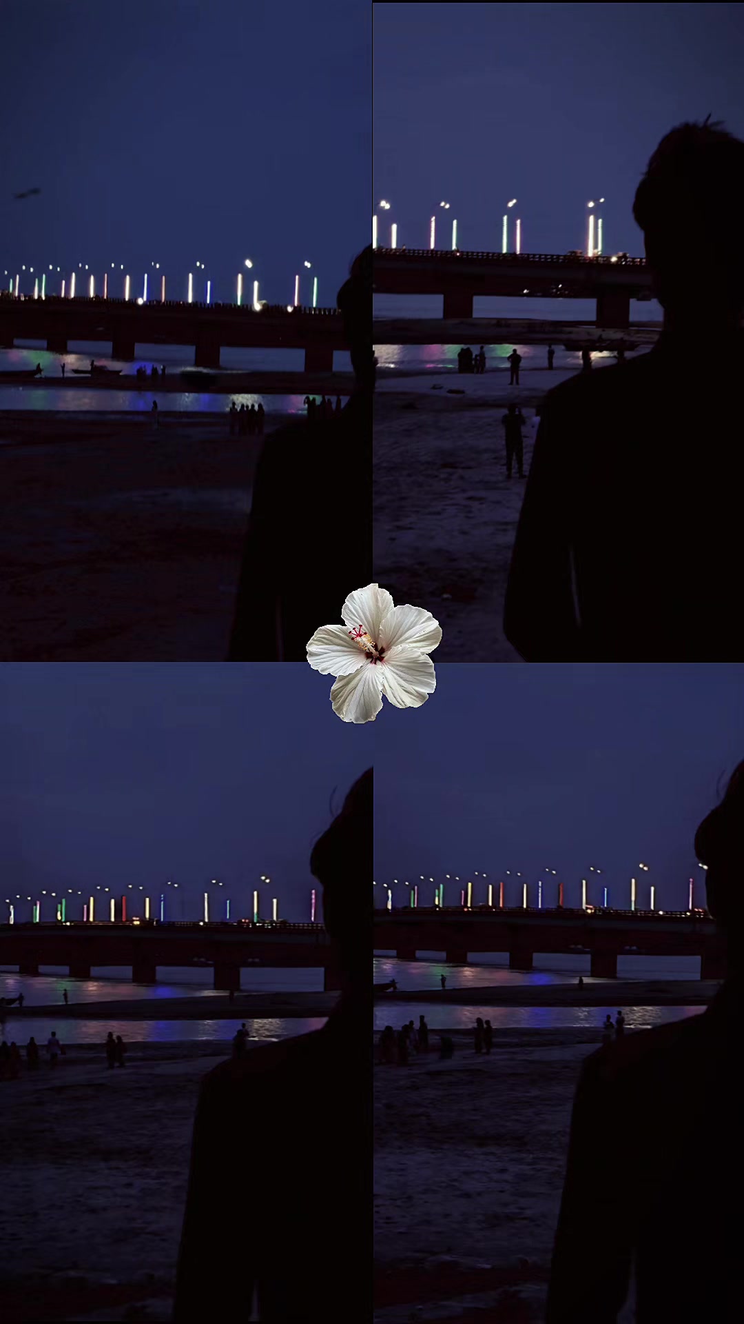 @🌺🌸💮卄ส𝒅íϋ𝗹༏𝓼𝗹ส𝖒💮🌸🌺