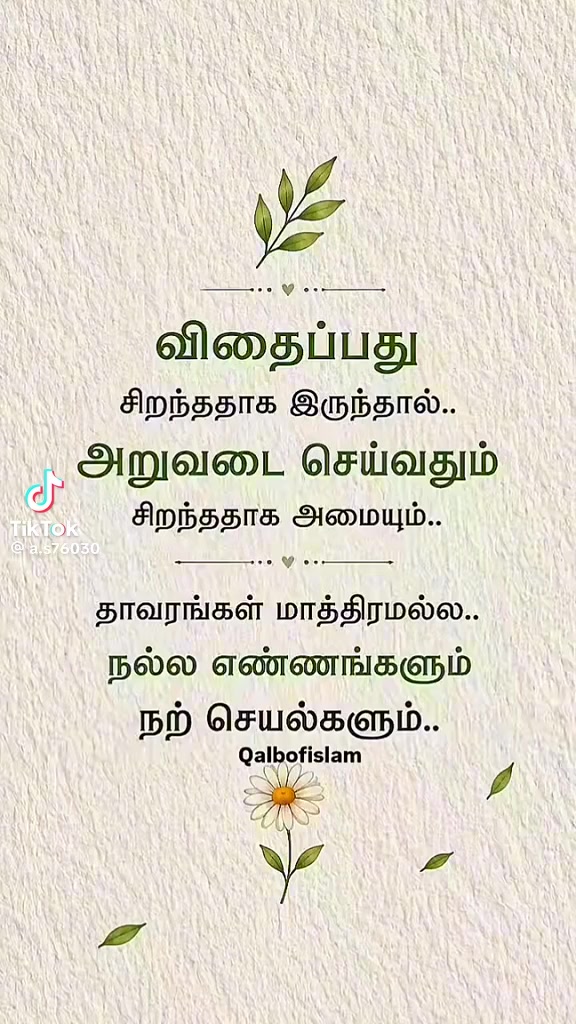 @seelan