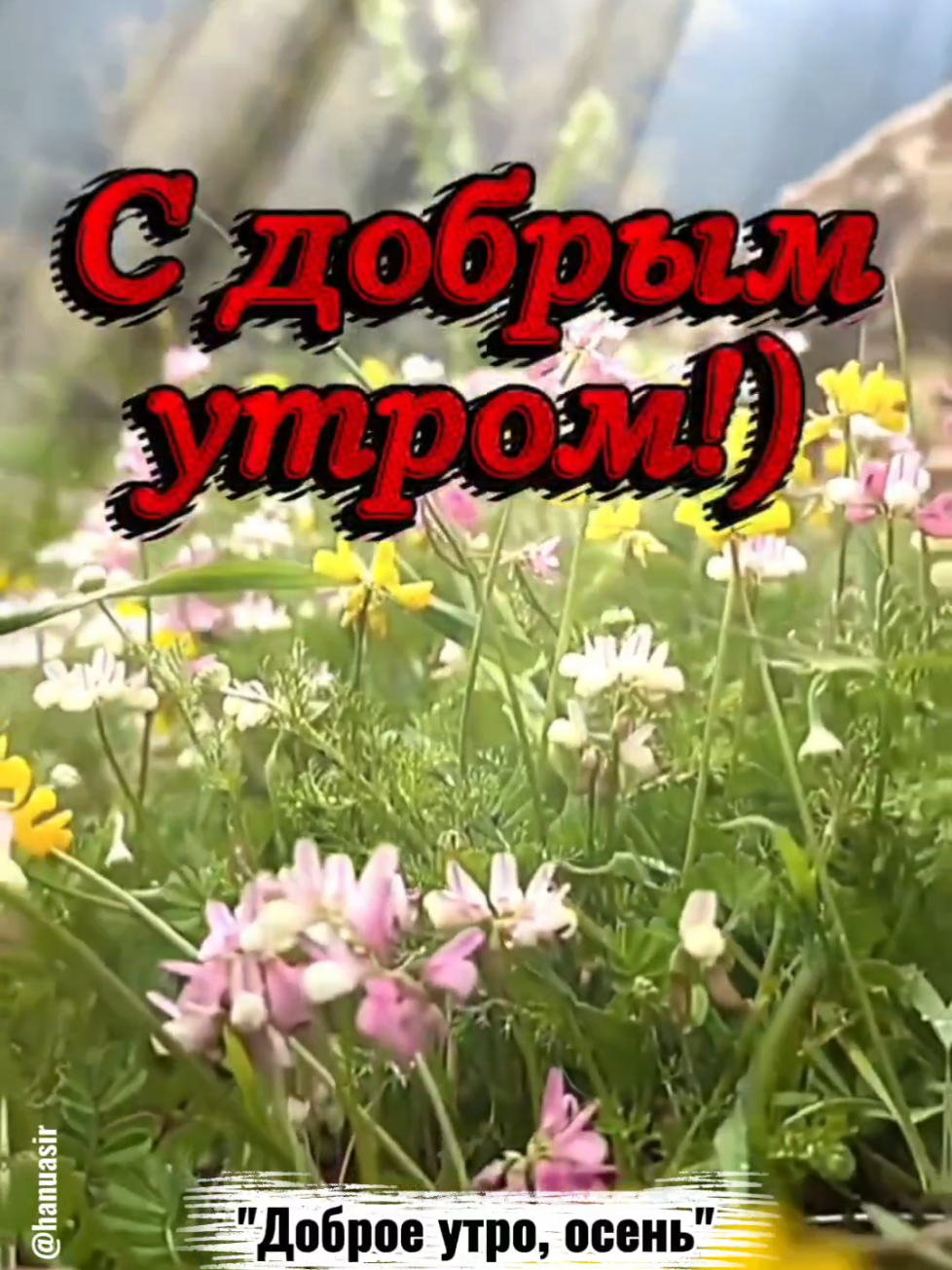 @Александр