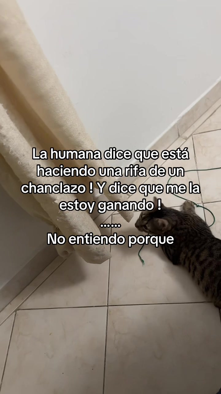 @lavida_unviaje