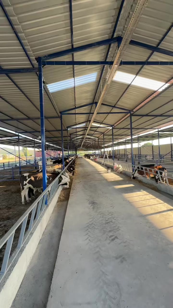 @CELEP SİNAN UÇAR
