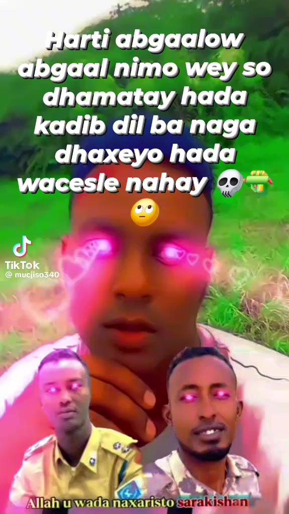 @farxiyo xaasn
