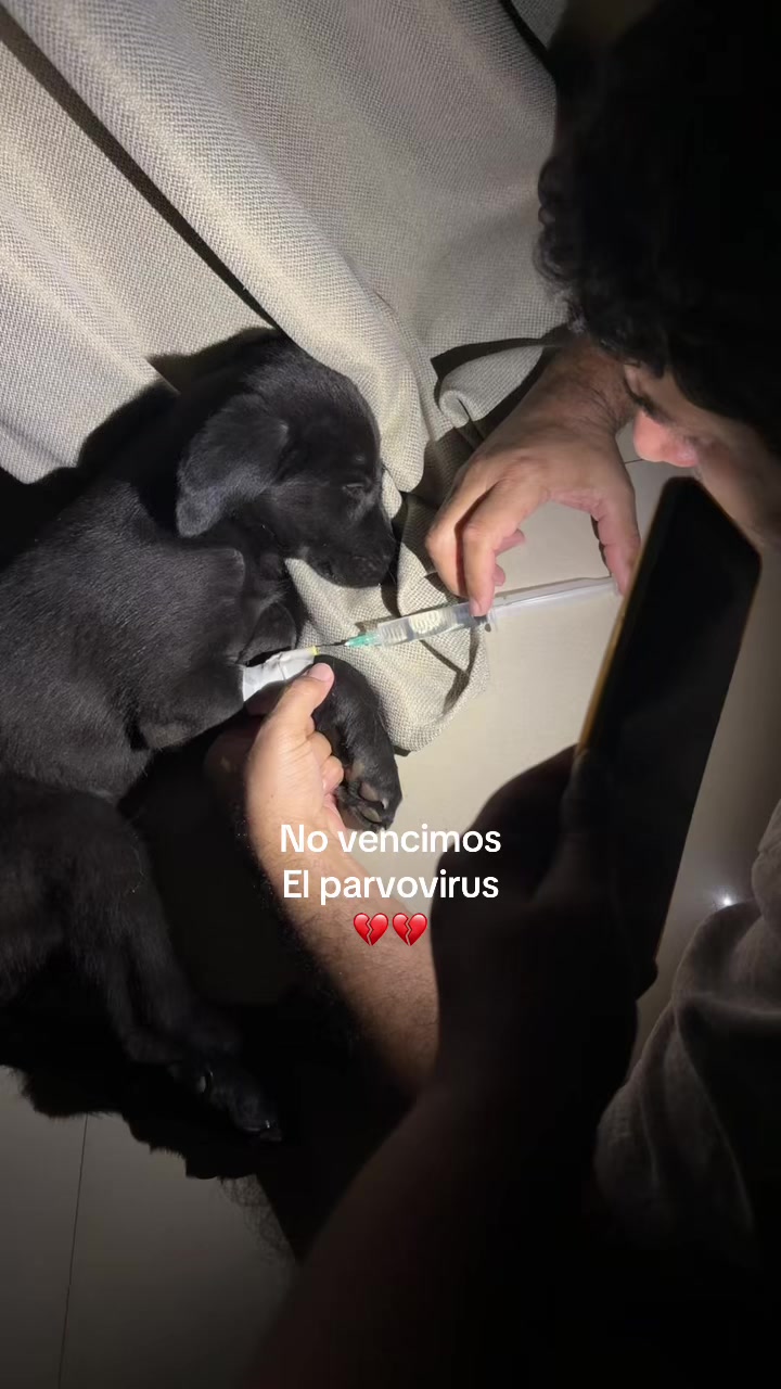 @Andy🦋