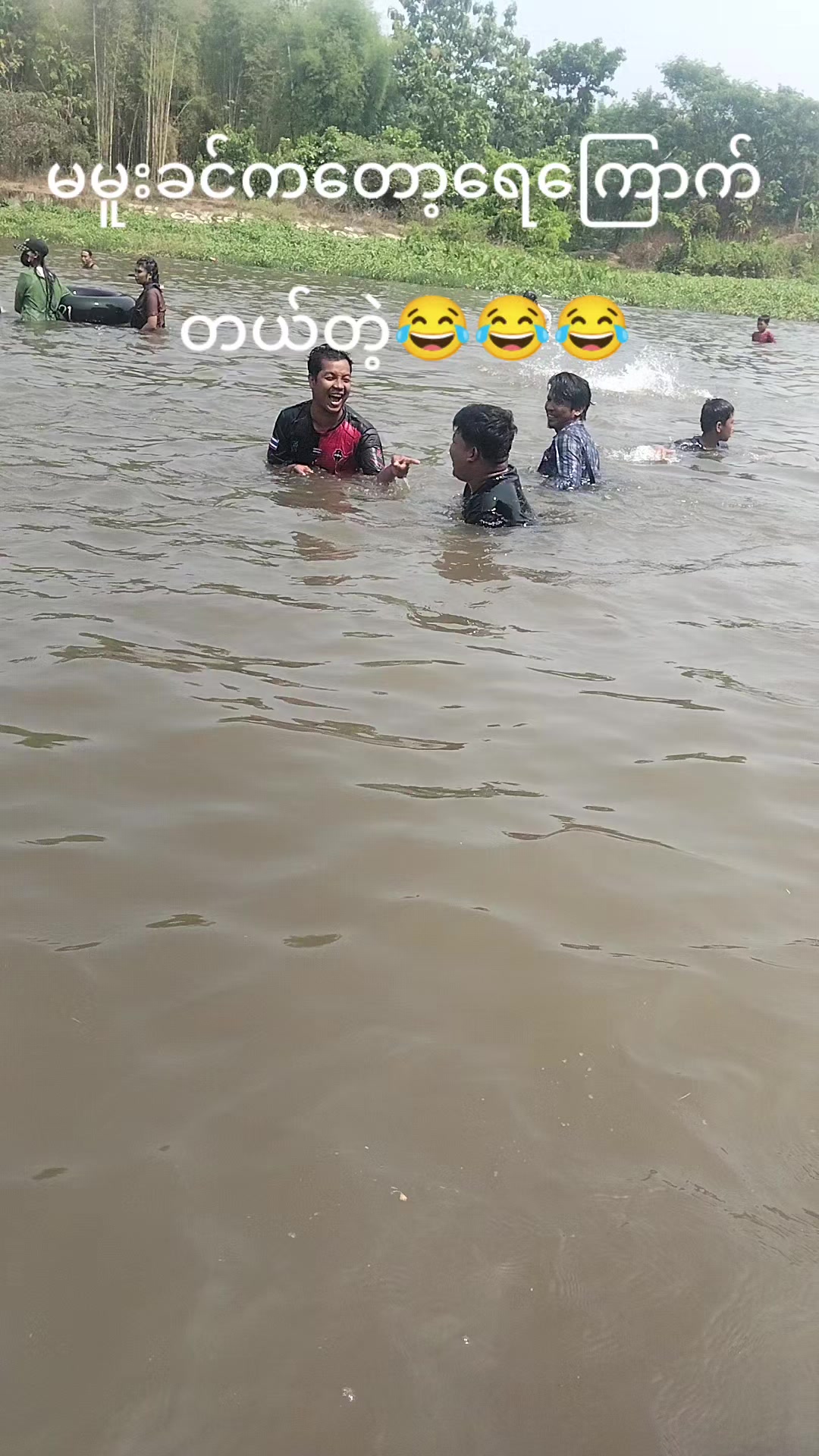 @dvdhysj