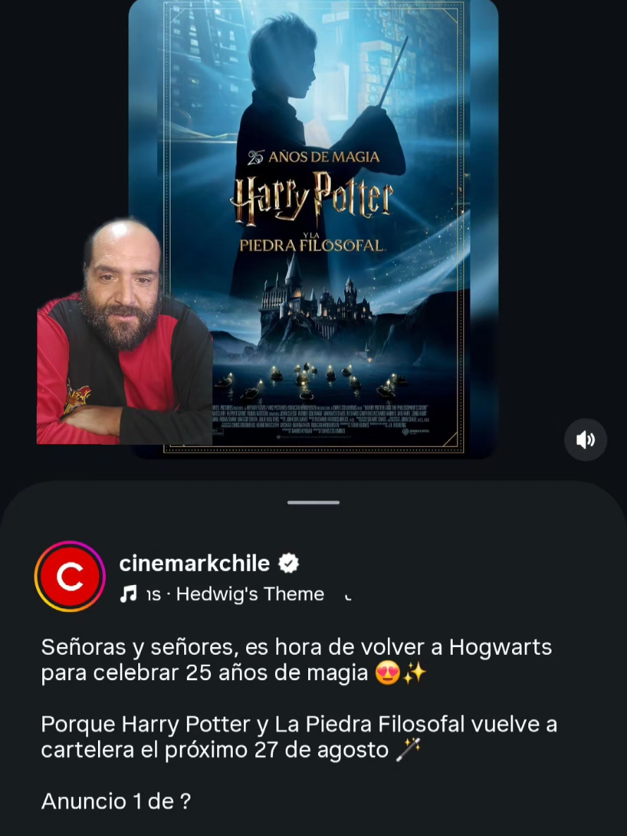 @harrypotterhunterchile
