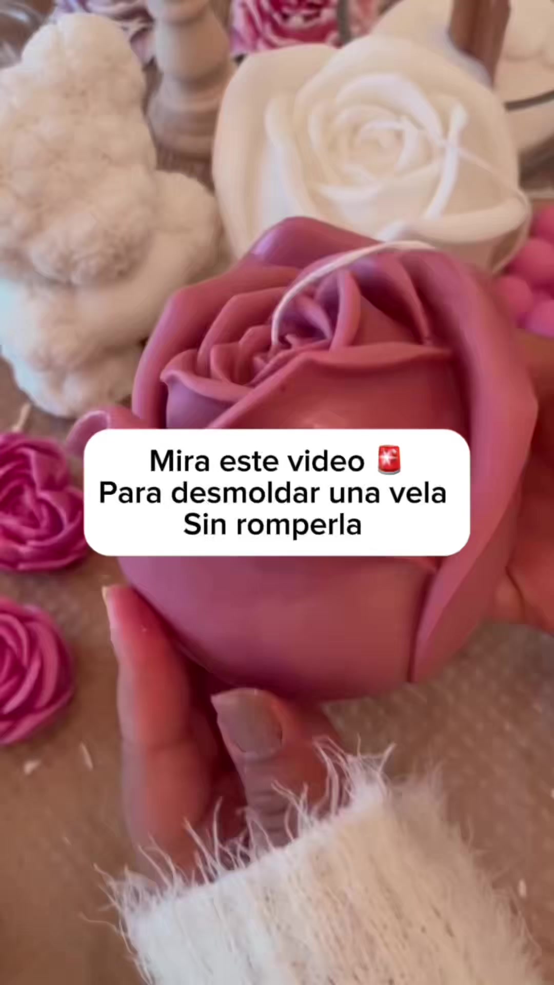@VELAS Y VELAS