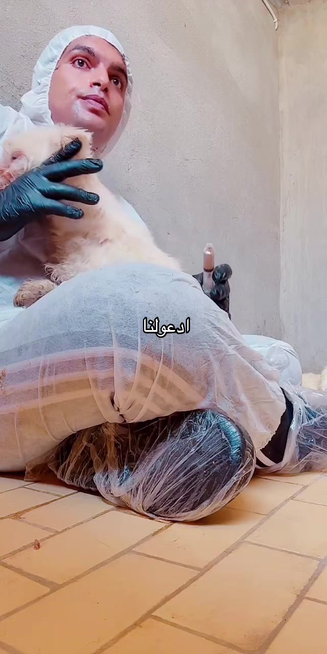 @mohammed and his cats😺