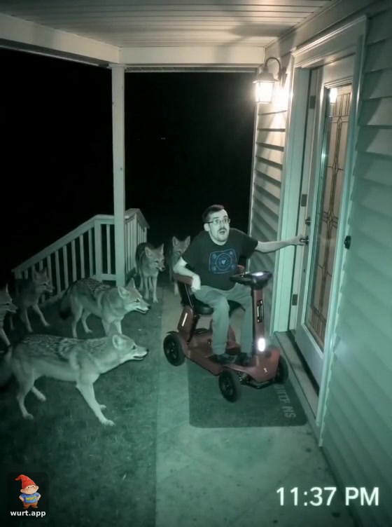 @Ricky Berwick
