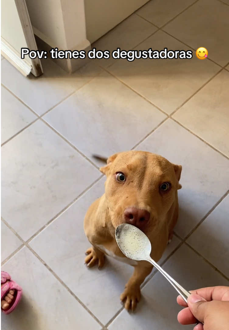 @Astrid Cavazos