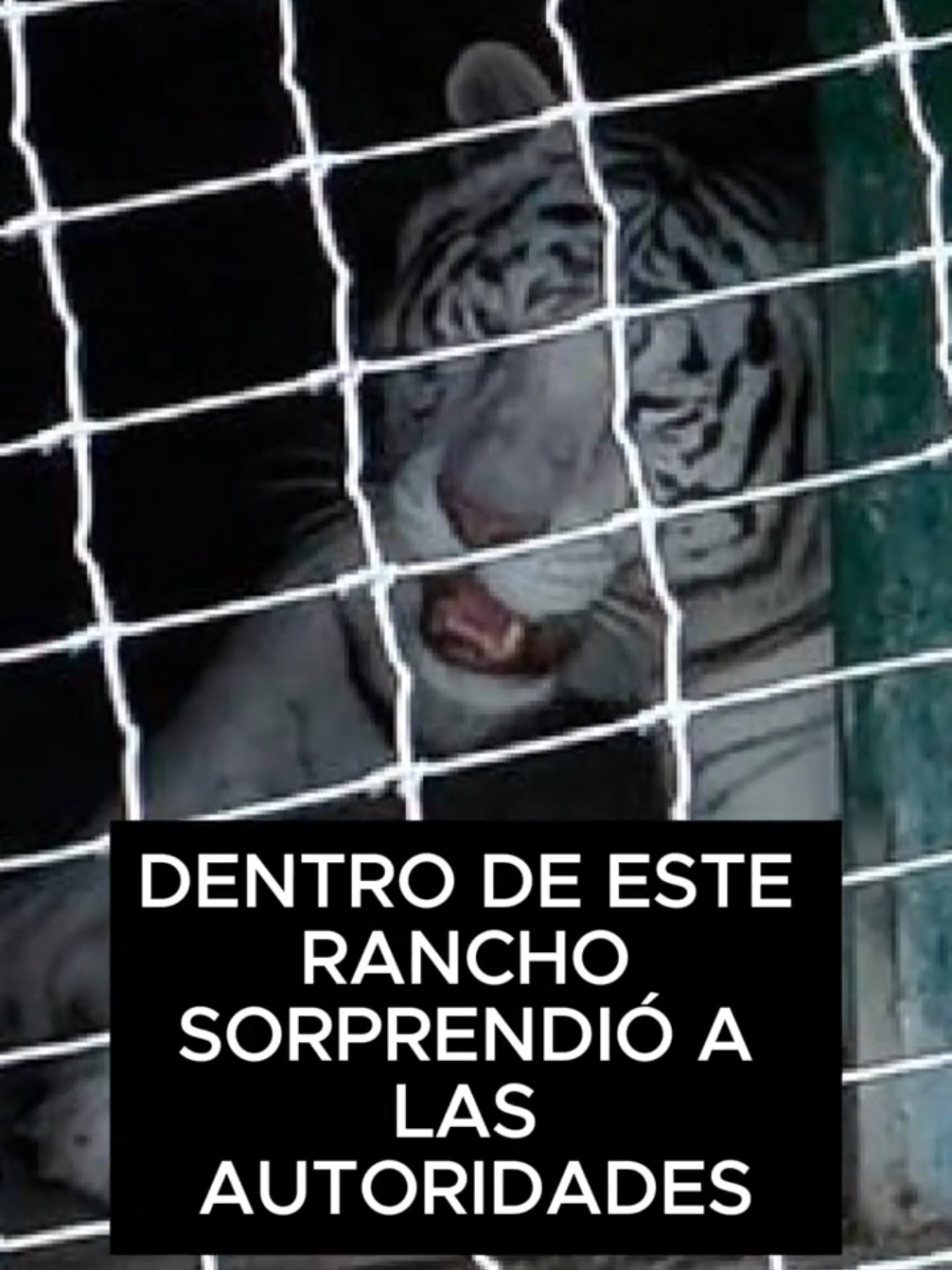 @THEBORDERREPORTS NOTICIAS