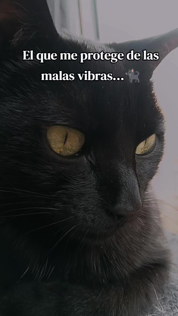@Mejía_Klau