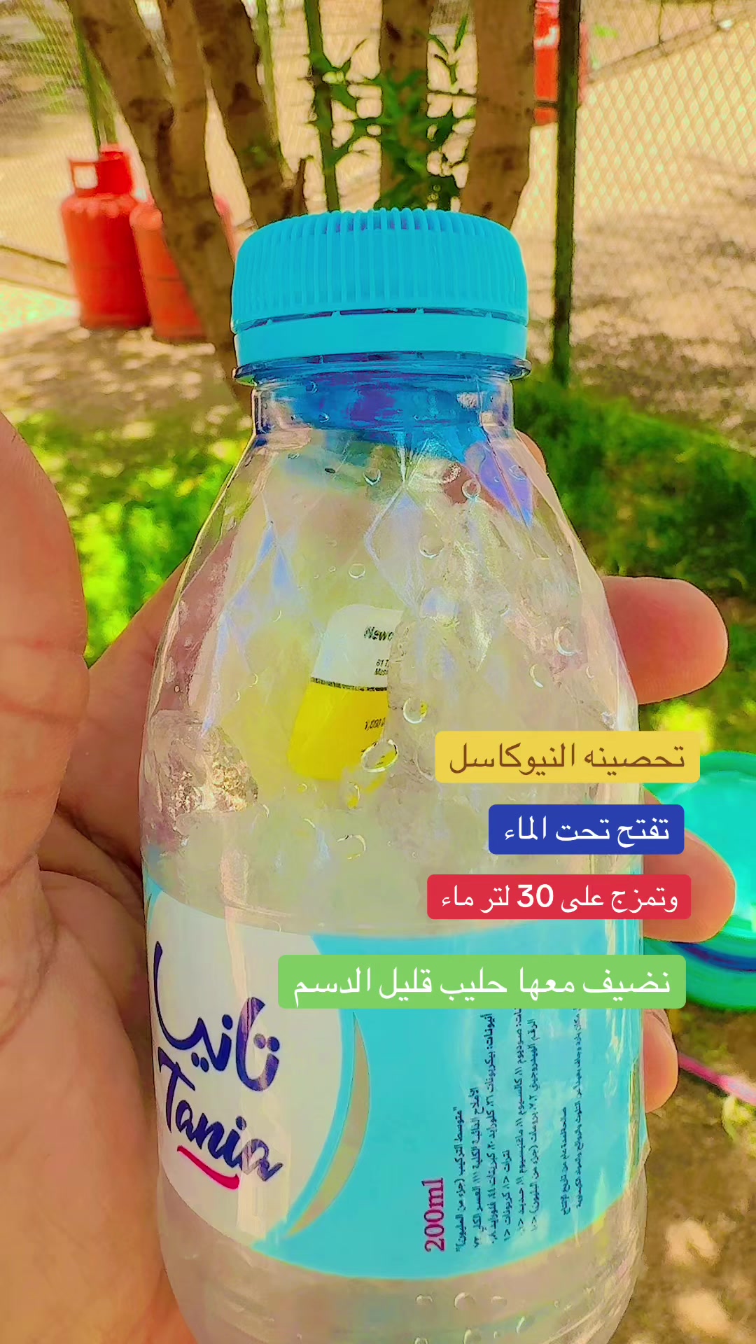 @نوادر الدجاج الزينه