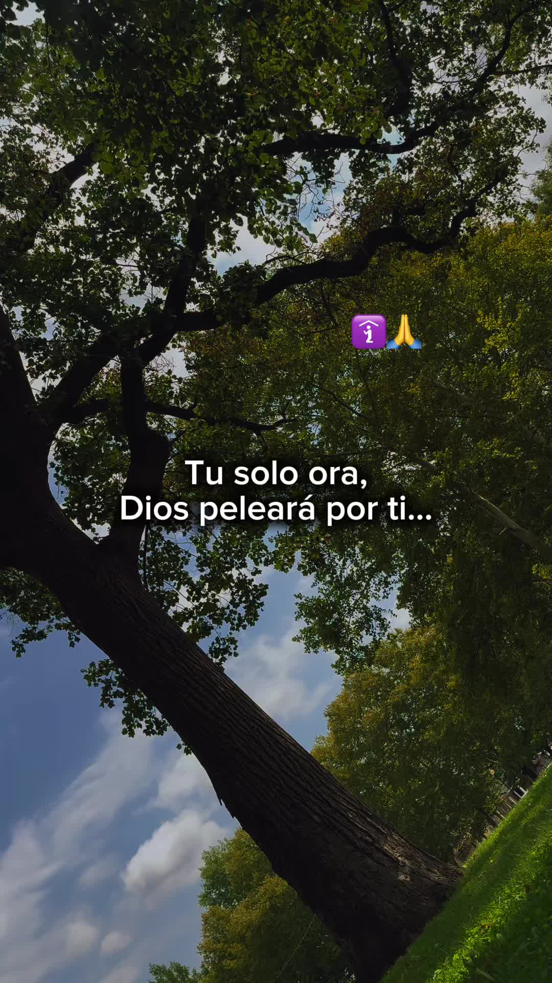 @Guerrero Supremo