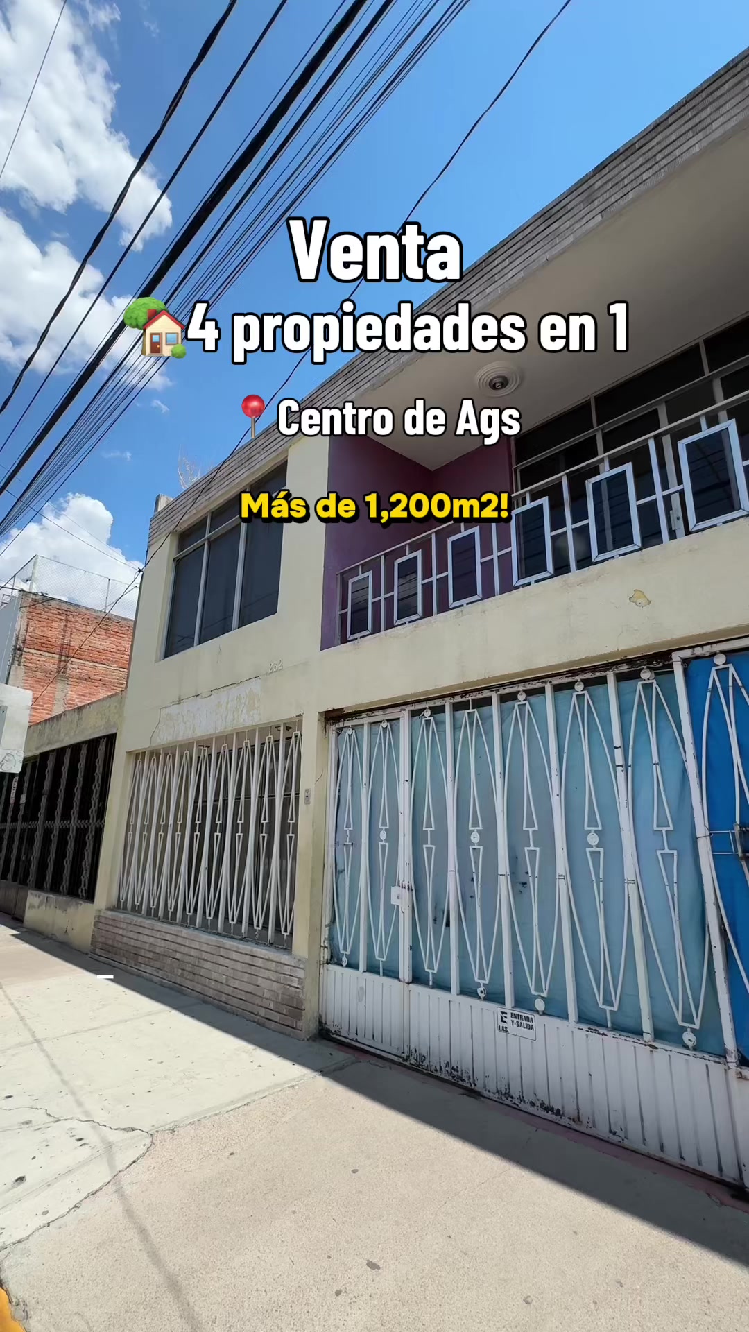 @Grupo Rolo