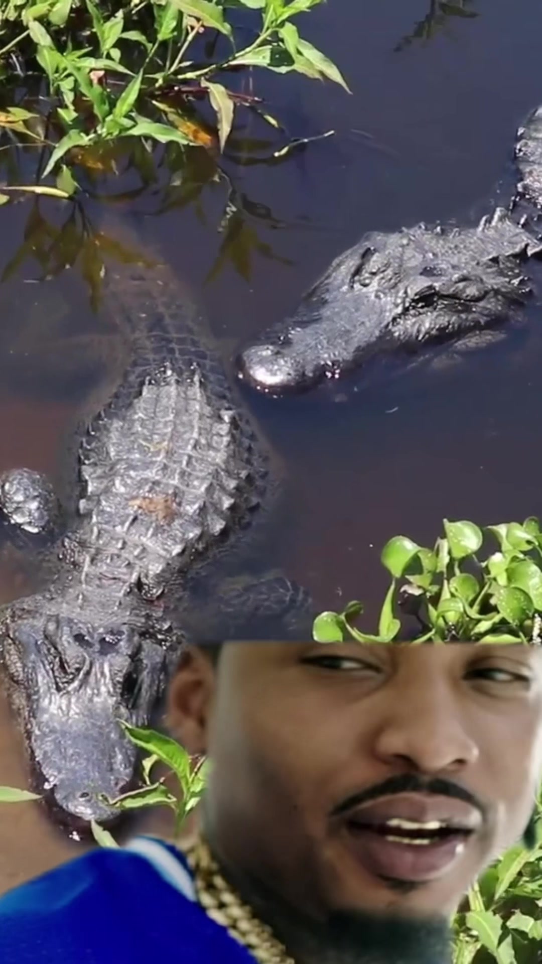 @Everglades National Park