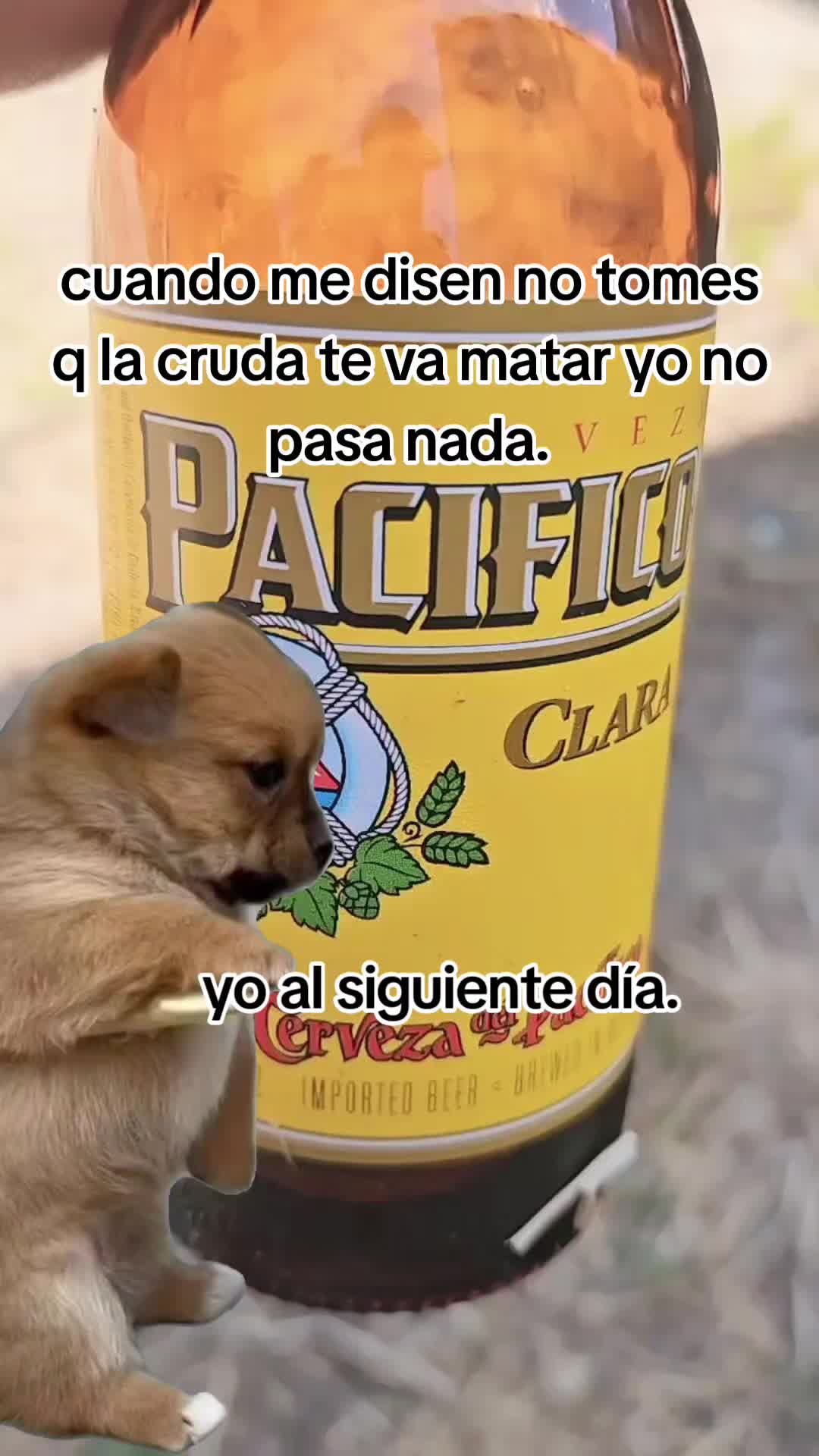 @🇲🇽🐦⬛🪺VASQUEZ🚚🌪💎