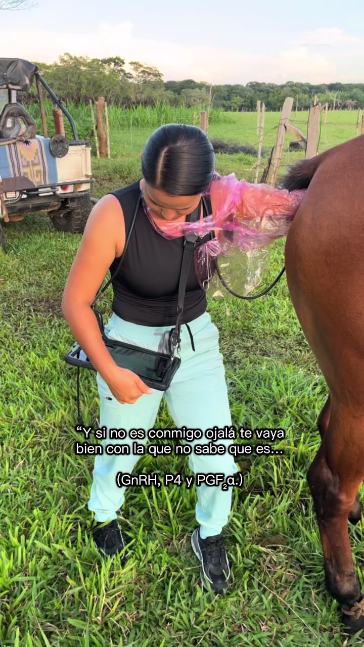 @Dra. Jessica Casas 👩🏻&zwj;⚕️🐴