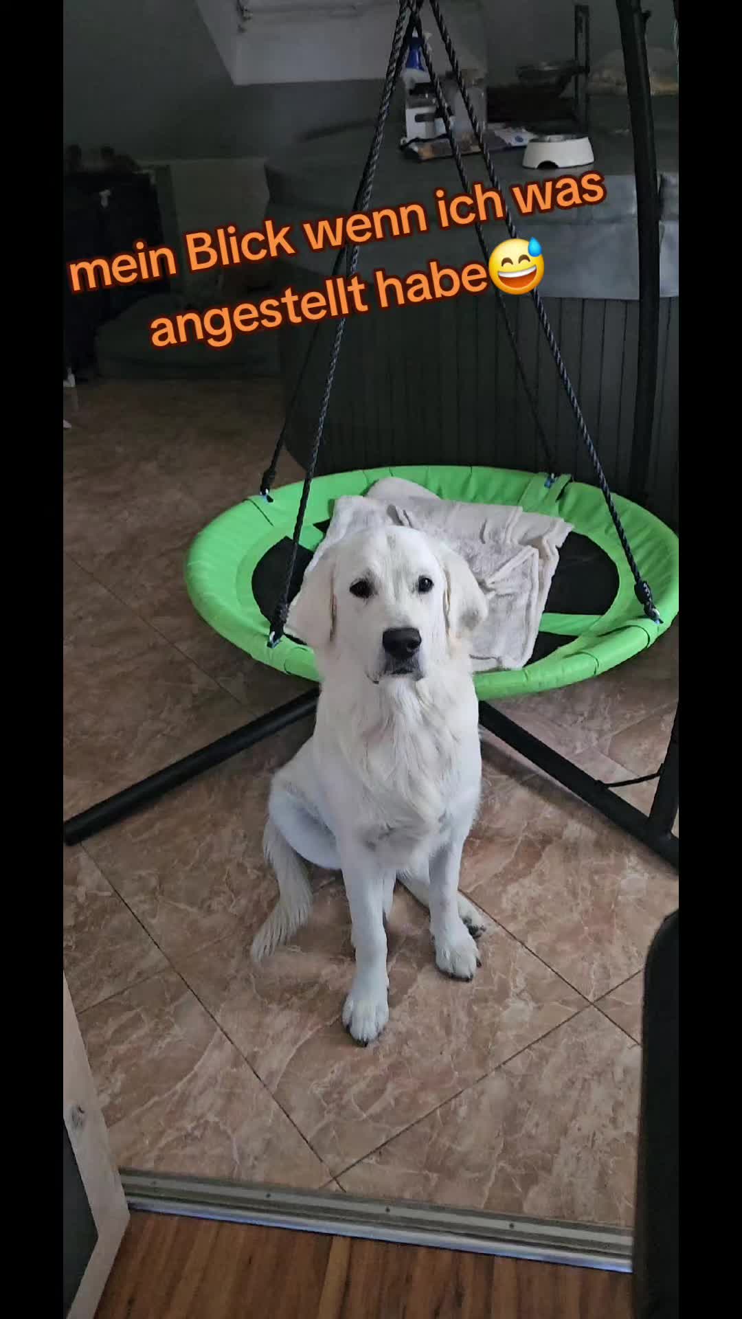 @Jennifer💕Keyla💕Angel
