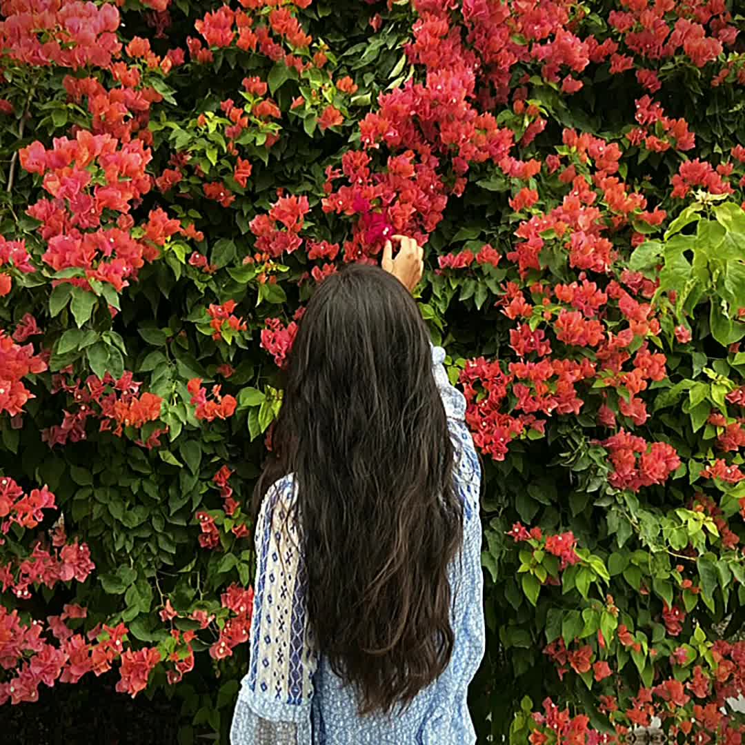@Laiba_ludo_master
