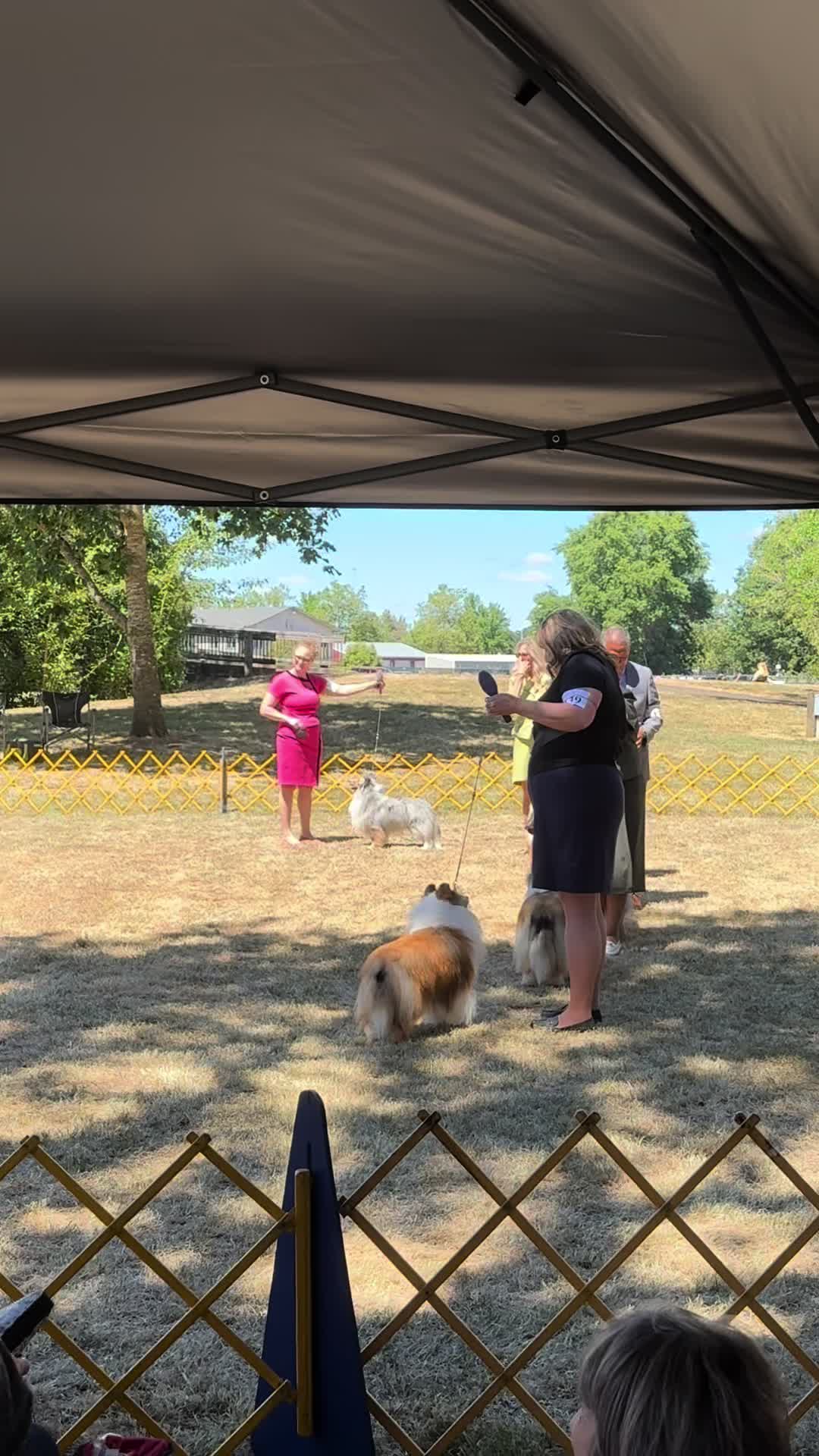 @Heather Discovery Canine Adv.