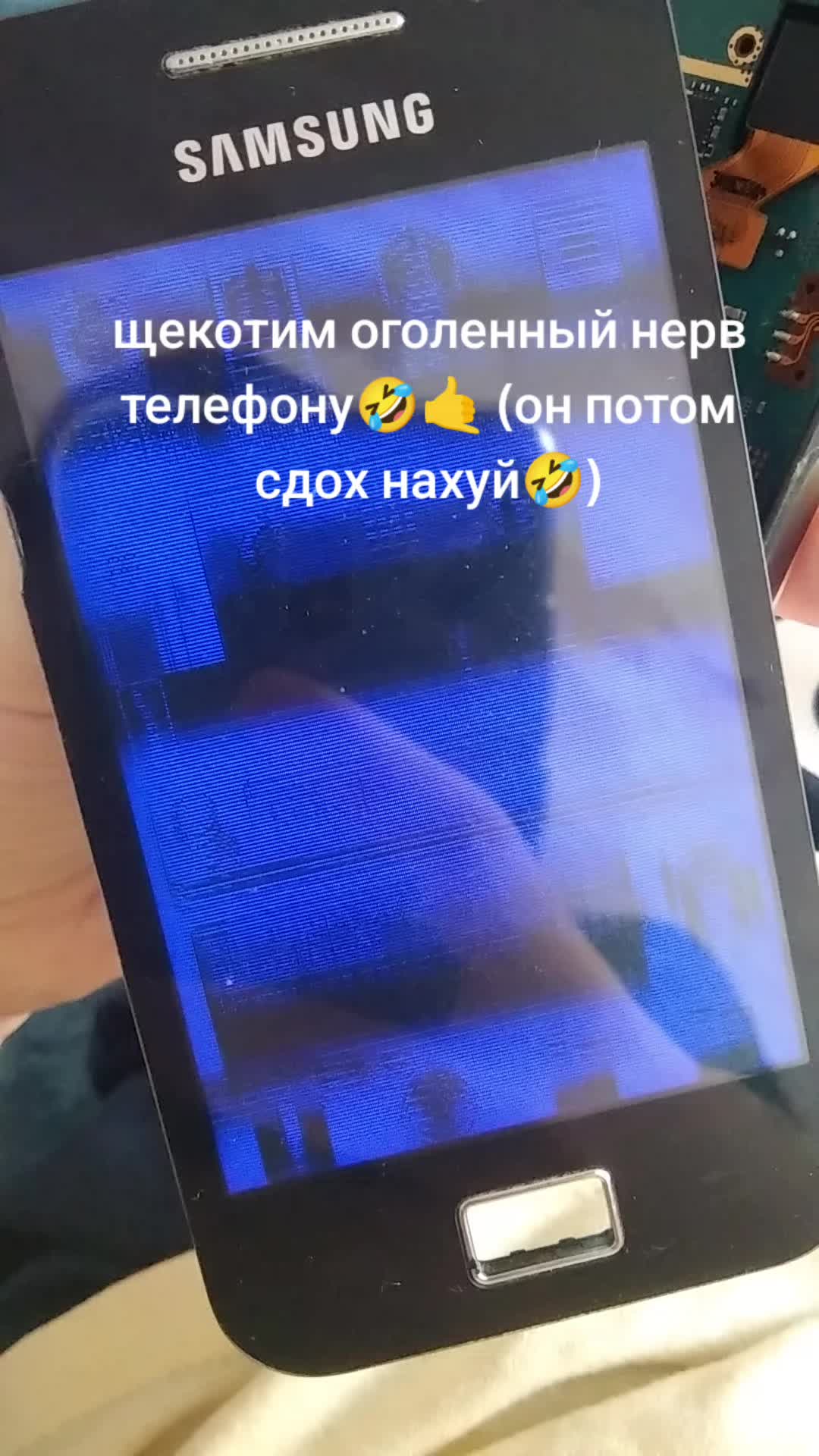 @Дeбильнoe яблоко