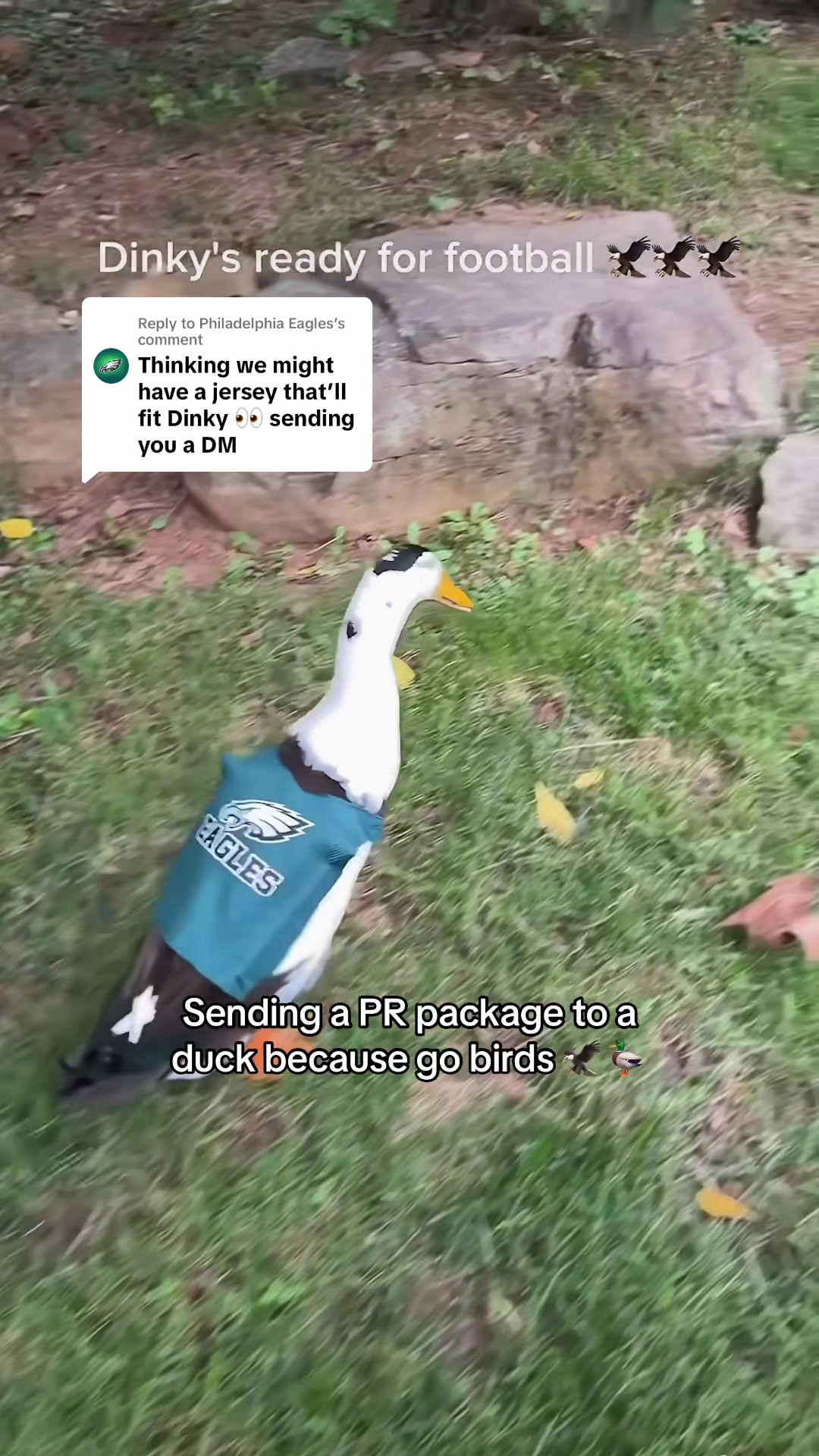 @Philadelphia Eagles