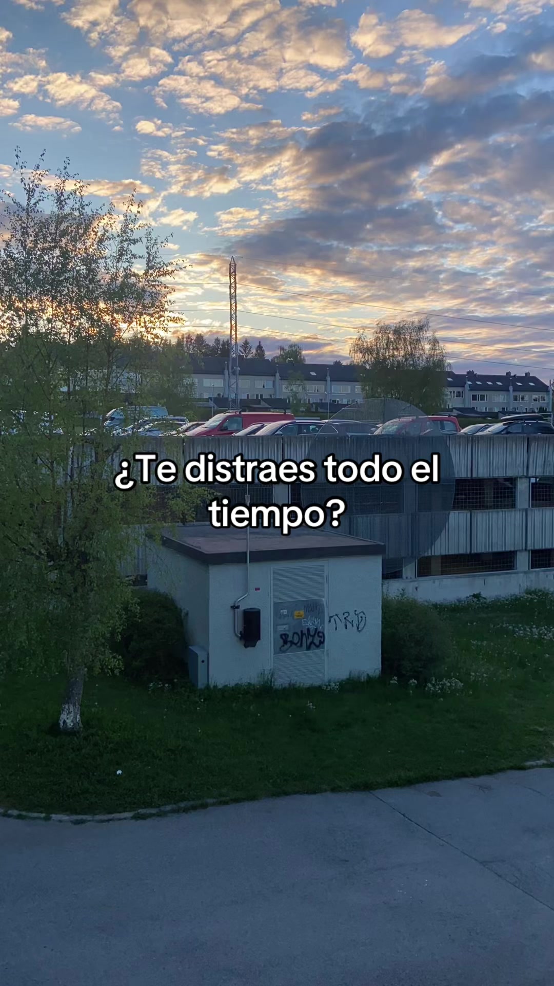 @Ana Garla