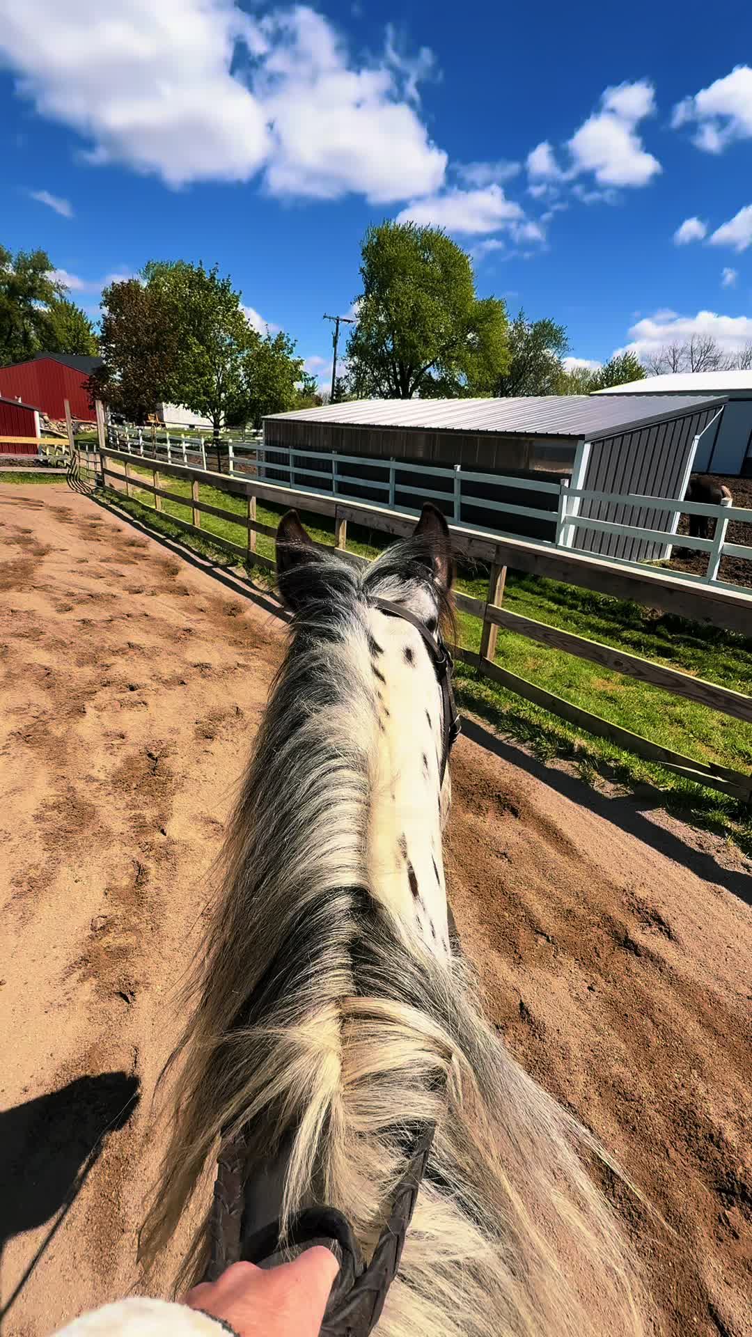 @Free Spirit Equestrian