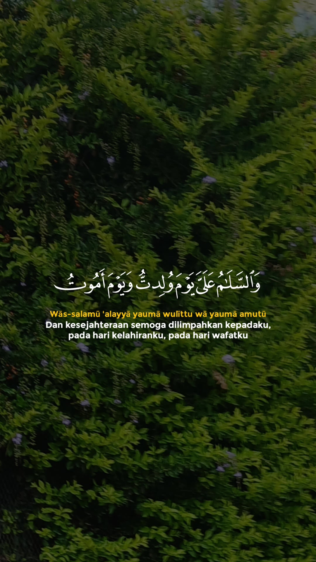 @Quran Reminder | تذكير القرآن
