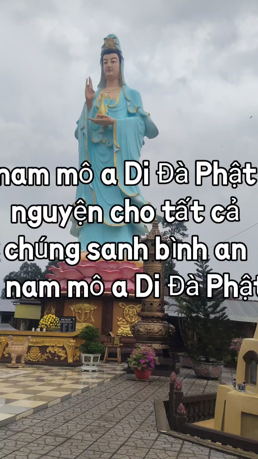 @nh&oacute;m tn diệu hạnh bỏ c&ocirc;ng sức
