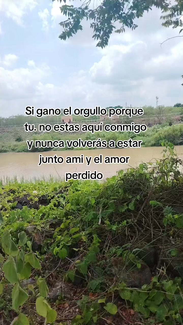 @socorro
