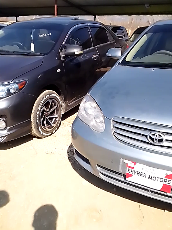 @ncpcarlover1