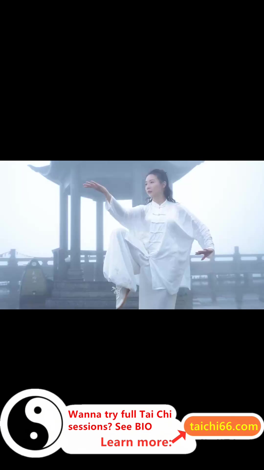 @HuaKai Taichi