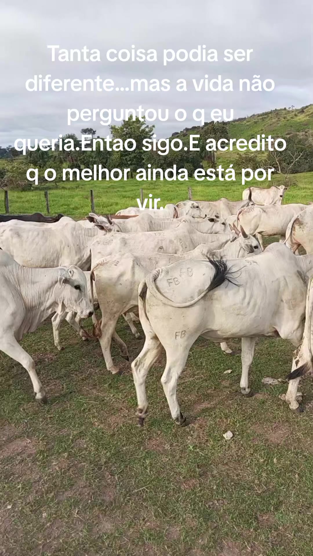 @Rogersilva