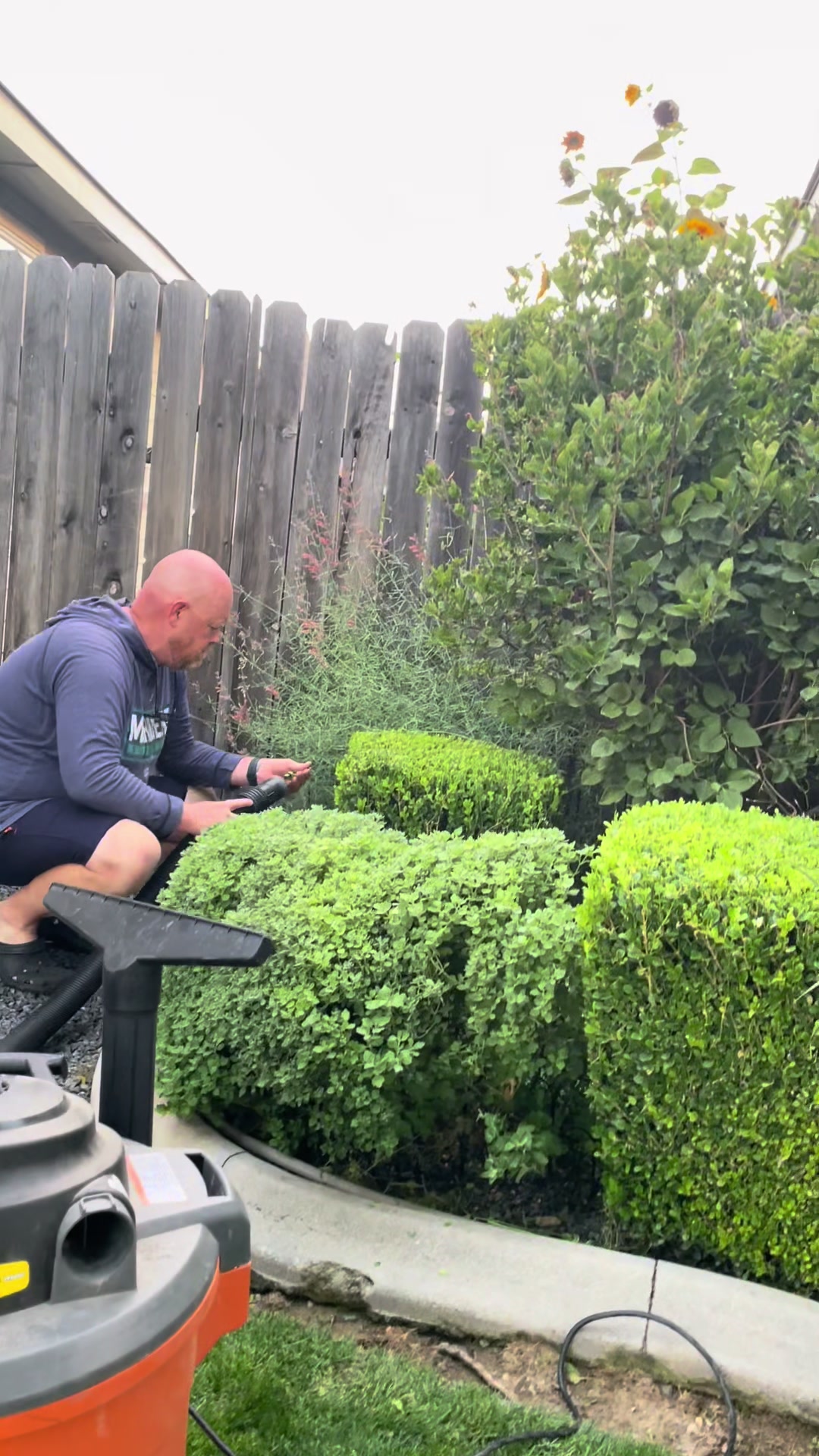 @backyardBeeg