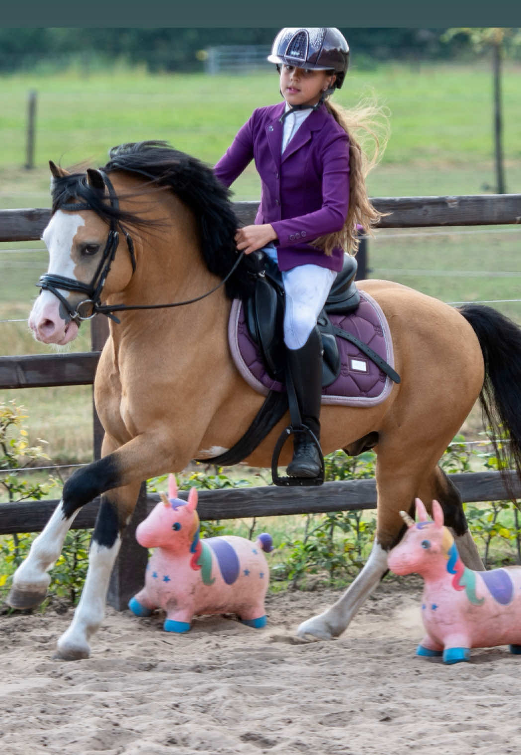 @Anais Super Pony&rsquo;s