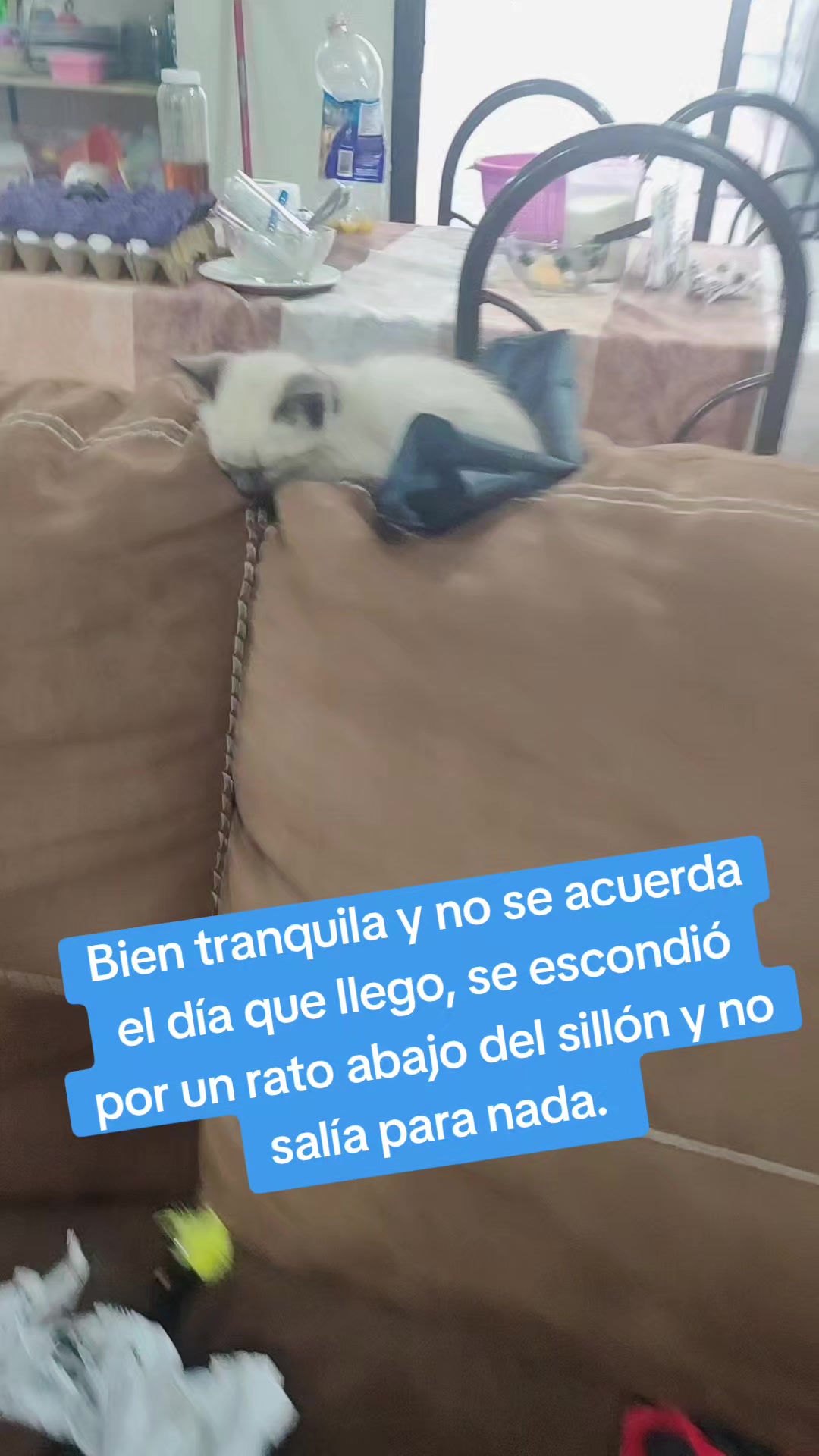 @Judith RG