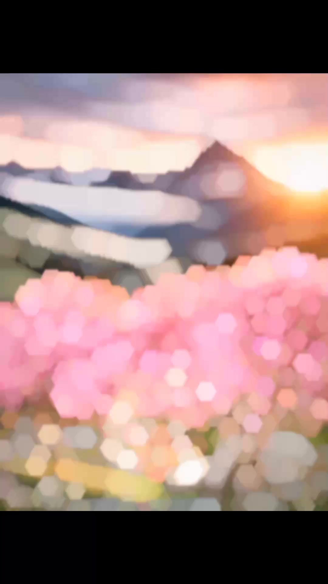 @❥︎🅝🅐🅨🅔🅔🅜 🅸🆂🅻🅰︎🅼❦︎